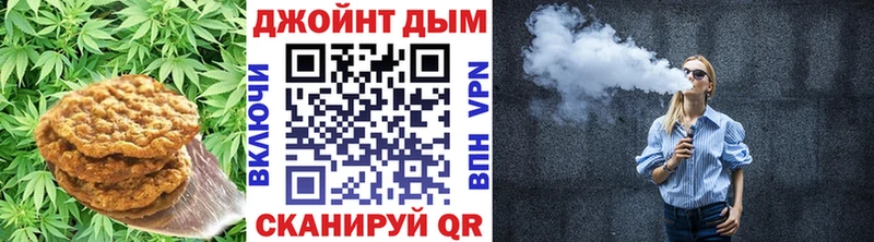 Купить закладки  Сосновый Бор  Canna-Cookies конопля 