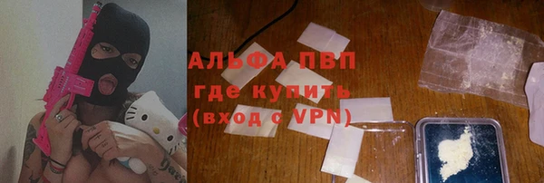 PSILOCYBIN Магас