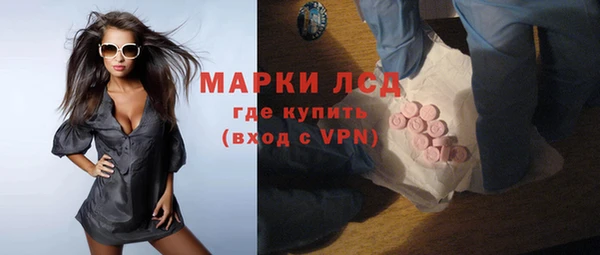 PSILOCYBIN Магас