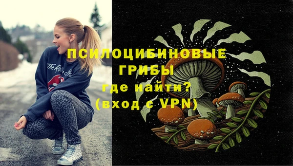 PSILOCYBIN Магас