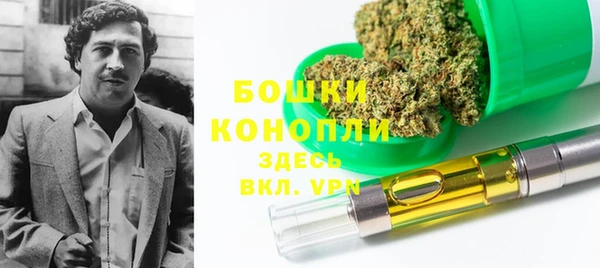 PSILOCYBIN Магас
