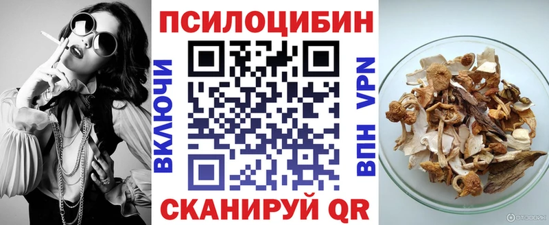 Купить где  Сосновый Бор  Галлюциногенные грибы Psilocybe 